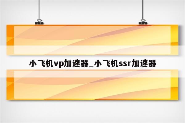 揭秘，小飞机VPN在现代网络环境中的应用与技术,小飞机vpn,第1张