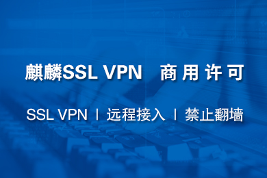 麒麟SSL VPN，守护企业级网络安全的卓越解决方案,麒麟SSL VPN,麒麟ssl vpn,SSL VPN,VPN的,VPN安,第1张