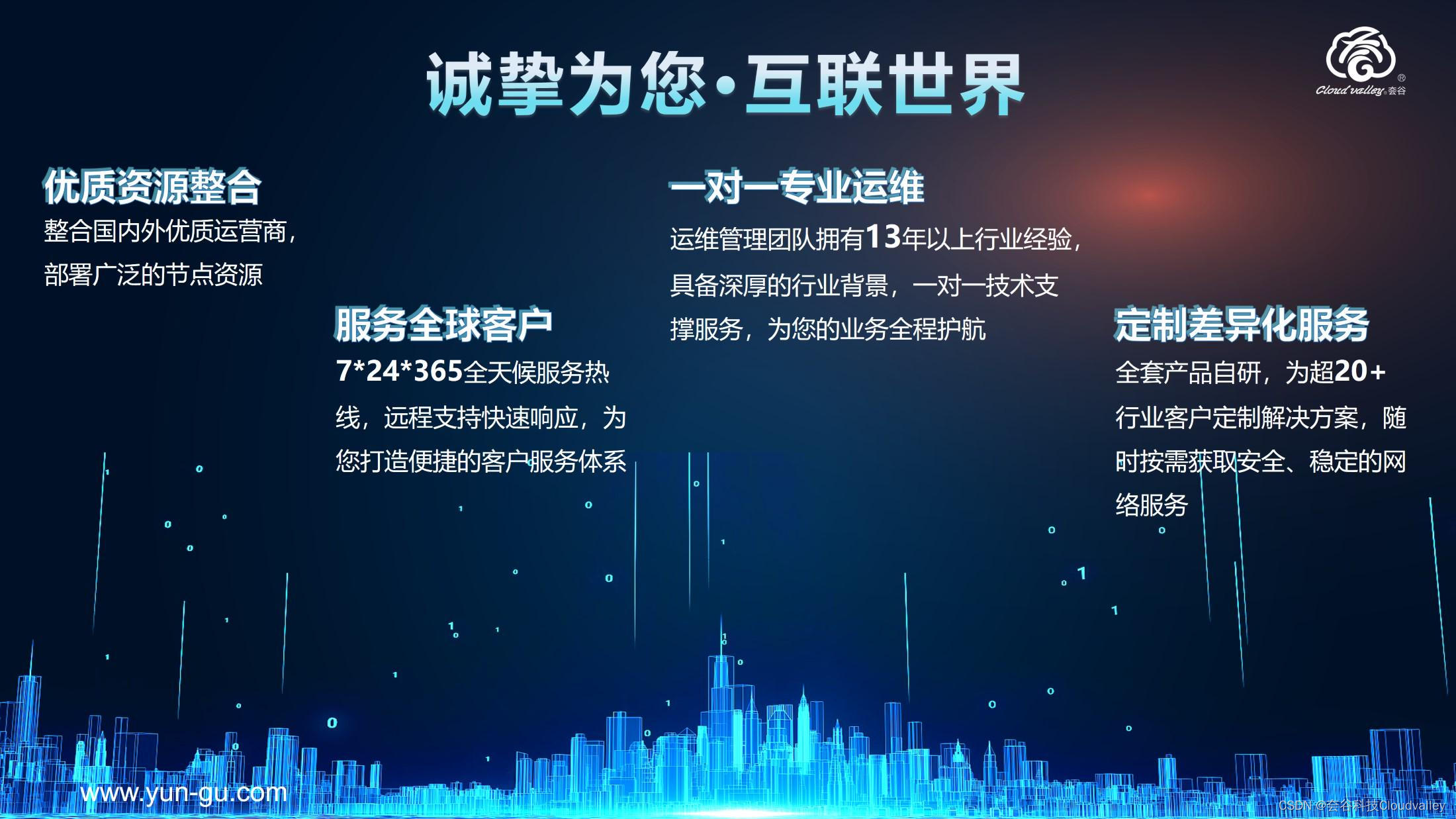 跨境网络安全的护航利器，出海VPN解析,VPN示意图,出海vpn,第1张