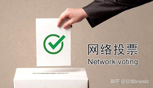 网络民主新工具，揭秘投票VPN的挑战与机遇,投票VPN相关图片,投票vpn,第1张