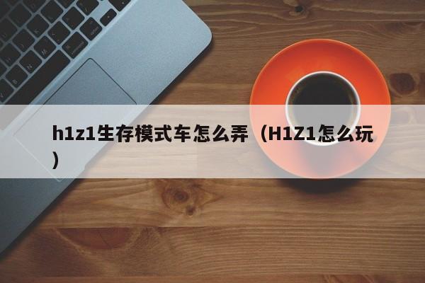 H1Z1玩家必看，教你如何使用VPN畅玩全球服务器,H1Z1游戏截图,h1z1怎么用vpn,第1张