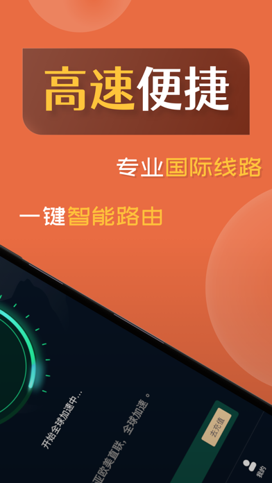 飞游VPN，网络畅游的安全护航者,飞游VPN示意图,飞游vpn,第1张