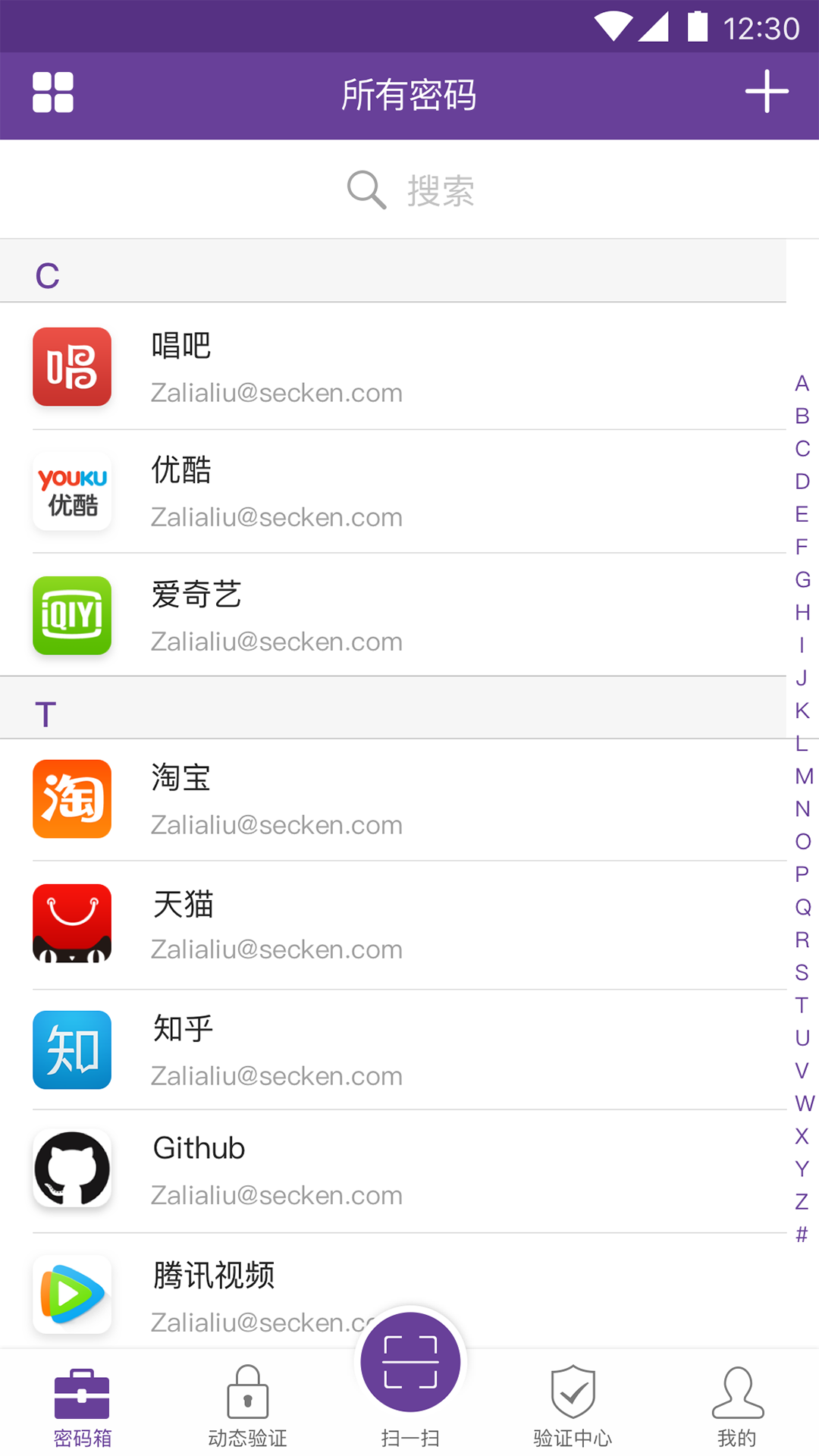 洋葱VPN，揭秘安全高效便捷的隐私保护利器,洋葱vpn官网,vpn.,第1张