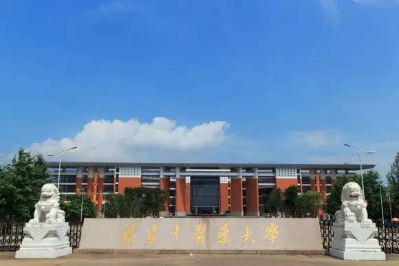 福建中医药大学VPN使用攻略，轻松接入学术资源，助力科研学习之旅,福建中医药大学vpn入口,vpn.,第1张