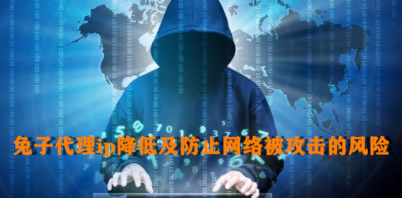 网络安全的双重防线，IP代理与VPN大揭秘,网络安全示意图,ip代理与vpn,第1张