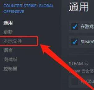 纯净畅玩CSGO，告别VPN，解锁无障碍网络新篇章,CSGO游戏截图,csgo不挂vpn,第1张