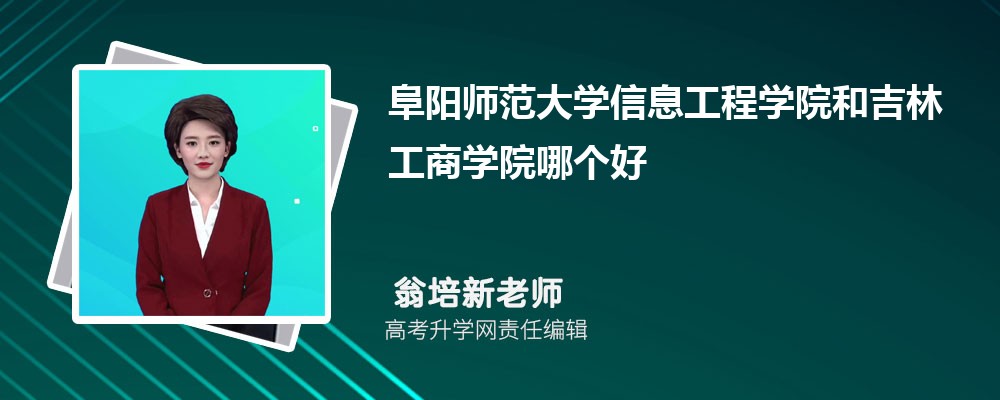 阜阳师范学院，VPN技术推动校园信息化与科研教学水平飞跃,VPN系统示意图,阜阳师范学院 vpn,SSL VPN,IPsec VPN,第1张