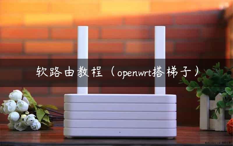 OpenWrt VPN路由深度解读，构建家庭安全网络攻略,OpenWrt VPN路由示意图,openwrt vpn路由,vpn,第1张