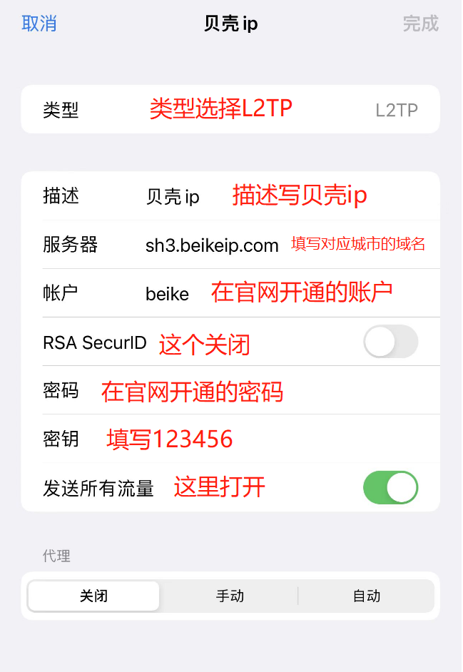 iOS L2TP VPN配置与密钥获取攻略,L2TP VPN配置示意图,ios vpn l2tp 密钥,第1张