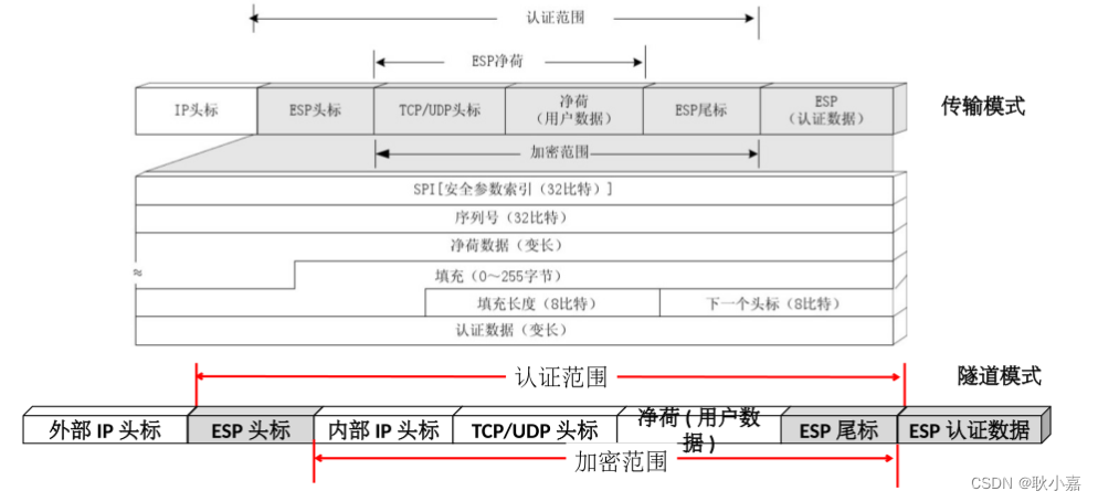 ESP VPN——隐私守护者的安全网络连接方案,esp vpn,第1张