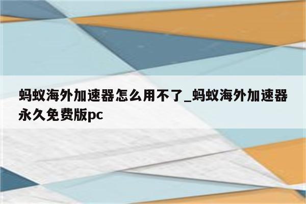 轻松畅游全球网络，蚂蚁VPN注册指南大揭秘！,蚂蚁VPN示意图,蚂蚁vpn 注册,vpn.,vpn,第1张