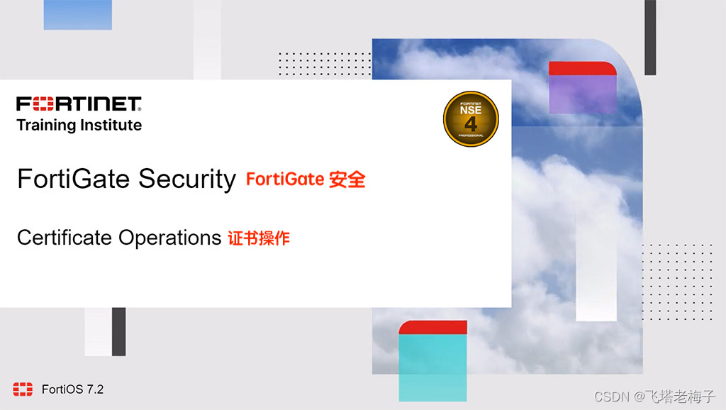 Fortigate SSL VPN，引领远程接入安全高效新潮流,Fortigate SSL VPN示意图,fortigate ssl vpn,SSL VPN,第1张