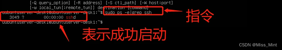 Ubuntu Server VPN连接指南，实操步骤与关键要点,文章目录概览：,ubuntu server连接vpn,IPsec VPN,第1张