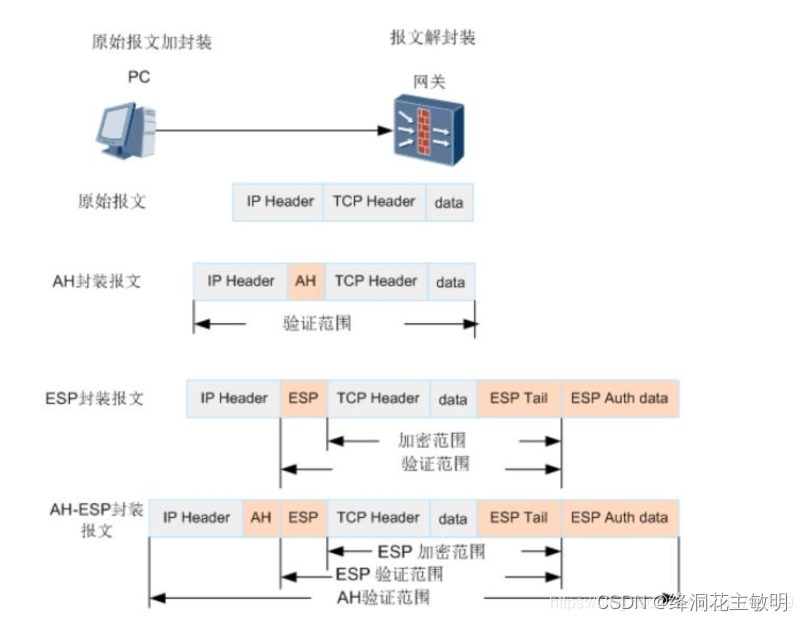 IPsec VPN传输模式揭秘，安全高效的数据传输策略,IPsec VPN示意图,ipsec vpn 传输模式,VPN的,IPsec VPN,第1张