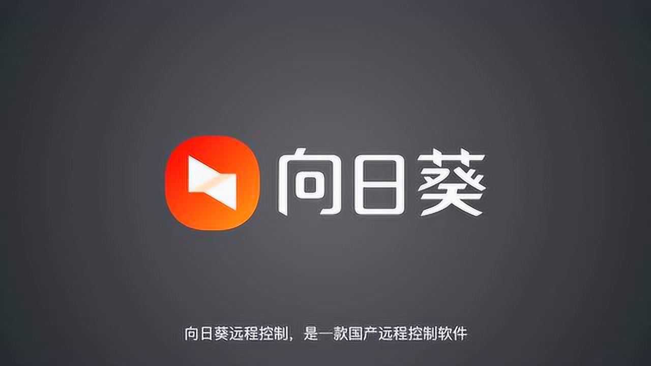 向日葵远程控制VPN，打造安全高效的网络连接新选择,向日葵远程控制VPN,向日葵远程控制vpn,第1张