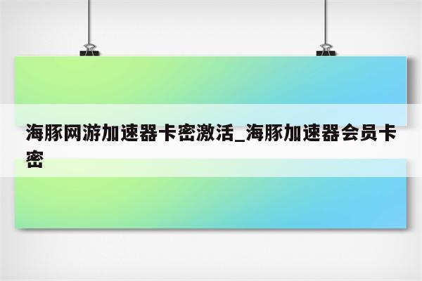 海豚VPN会员，开启无限网络自由的大门,海豚VPN示意图,海豚vpn普通会员,第1张