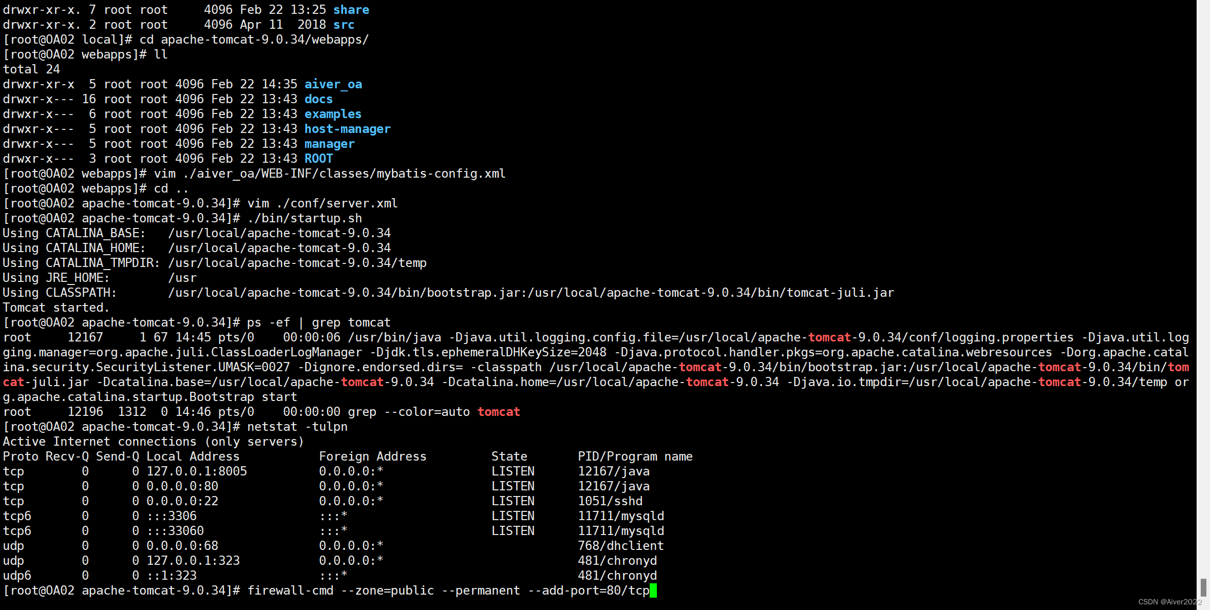 Java构建的高效安全远程访问VPN服务器解决方案,Java VPN服务器示意图,java vpn服务器,第1张