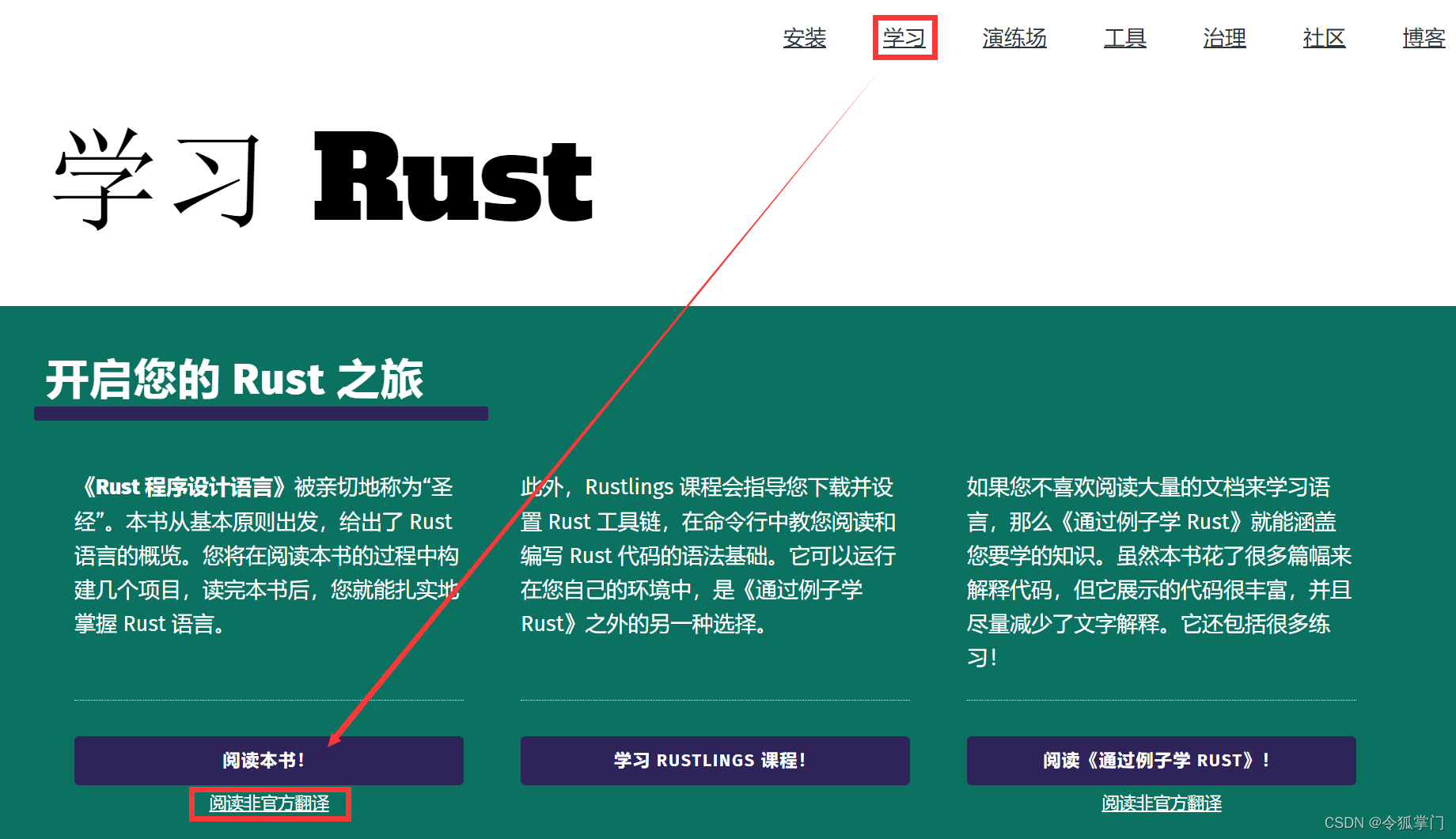 Rust编程语言开发指南，VPN使用解析,Rust编程语言特点图,rust要挂vpn吗,第1张