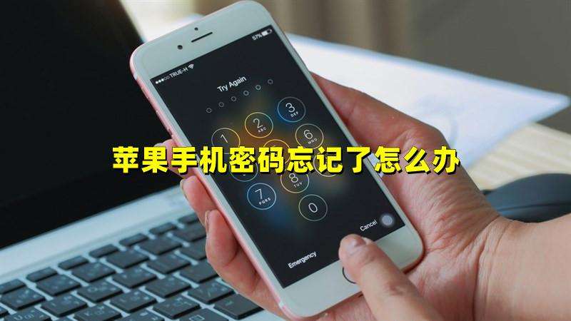 苹果手机轻松使用VPN Gate，畅游网络无界,网络连接示意图,vpn gate苹果手机打开,第1张