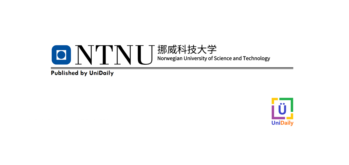 挪威科技大学学术资源无限之旅，NTNU VPN解锁攻略,挪威科技大学（NTNU）VPN服务图示,ntnu vpn,VPN服,VPN的,第1张