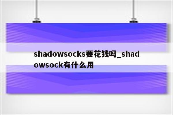 Shadowsocks VPN深度解析，购买攻略与实用技巧全揭秘,shadowsocks vpn 购买,VPN服,VPN的,VPN的密码,第1张