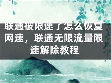 全球畅游，联通卡VPN解锁无限网络新体验,本文目录概览：,联通卡VPN,购买VPN服务,VPN服,VPN的,第1张