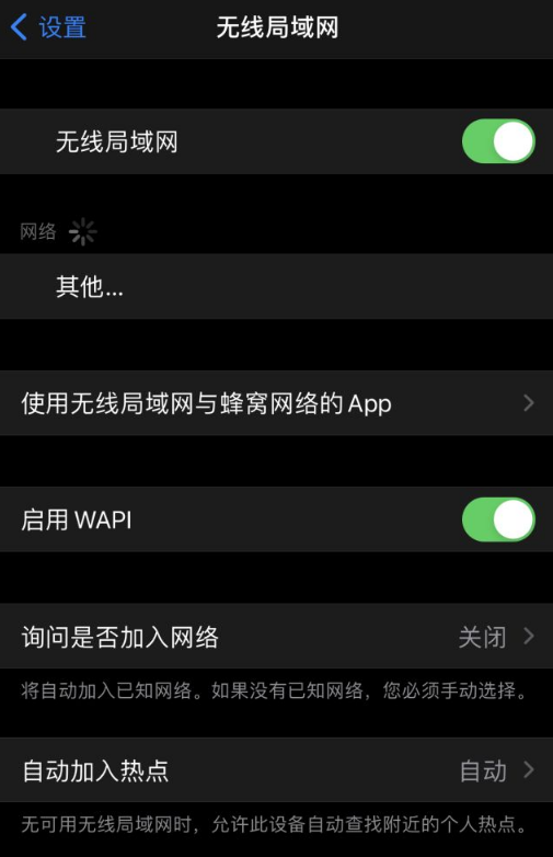 iPhone WAPI加持，VPN助力安全畅连，网络无忧体验升级,iphone vpn启用wapi,VPN服,VPN网络,VPN和,第1张