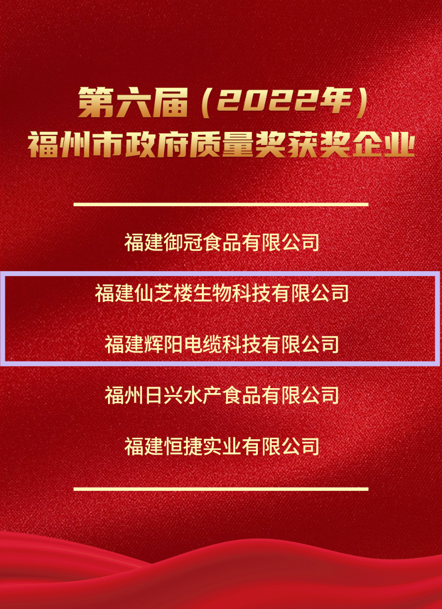 官方认证VPN，守护网络安全与合规的双重防线,网络安全示意图,政府认可的VPN,VPN的,VPN在,第1张