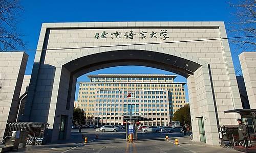 北京语言大学VPN，学术交流的国际桥梁,北京语言大学VPN示意图,北京语言大学VPN,VPN服,VPN的,通过VPN连接,第1张