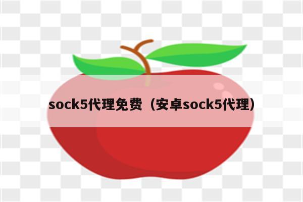 Sock5协议，揭秘其超越VPN的安全性优势,网络安全图解,socks比VPN安全,VPN服,VPN在,第1张