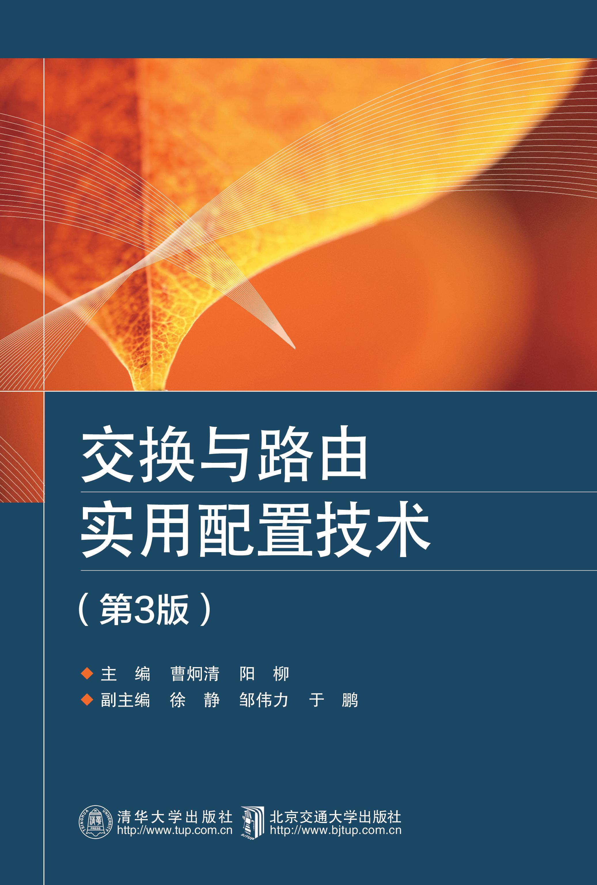 VPN交换与路由技术解析与应用探讨,VPN技术封面图,vpn交换与路由,VPN网络,第1张