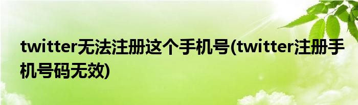 破解Twitter账户注册难题，揭秘限制与高效解决方案,相关图片,VPN注册不了twitter,VPN服,切换VPN,第1张