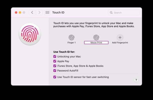 安全指南，深度解析Touch ID VPN使用技巧,目录概览：,设置的touchid VPN,VPN服,第1张