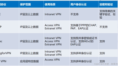 VPN守护，寒梅傲骨，网络世界的绿色守望者