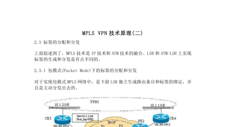 BGPMPLS技术在VPN领域的关键应用与显著优势