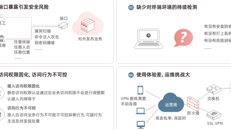 Netsoft VPN——守护网络安全的高效连接利器