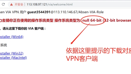 葵花VPN，守护网络安全的高效连接利器