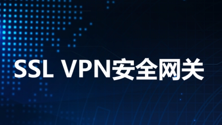 SSL VPN与L2TP VPN，安全连接的并行解析