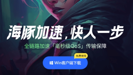 海豚VPN，网络海洋中的隐私守护神