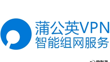 蒲公英VPN官方详解，服务删除原因及后续策略公布