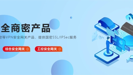 无忧连接，商用稳定VPN——企业安全与效率的守护者