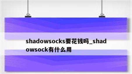 Shadowsocks VPN选购攻略，解锁安全高效上网新境界