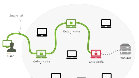 网络双重保障揭秘，Tor与VPN，隐私安全无懈可击