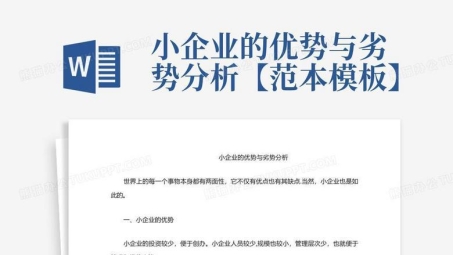 揭秘买断制VPN，优势、劣势与选购攻略