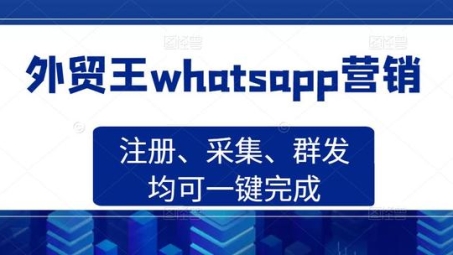 WhatsApp隐秘通道，揭秘为何依赖VPN保护隐私