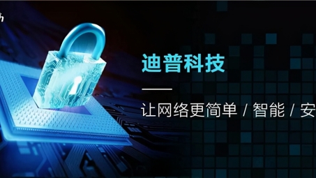 迪普科技VPN，护航企业网络安全，助力全球化战略拓展