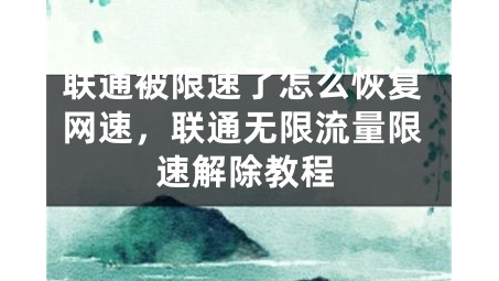 联通卡VPN助力解锁，畅游全球网络无限空间