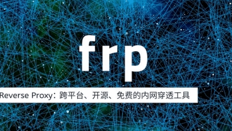 突破限制，FRP结合VPN实现网络安全与使用便捷的和谐统一