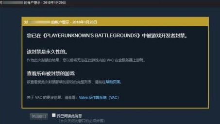 Steam VPN受阻，玩家攻略大揭秘