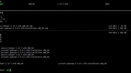 深度揭秘OpenVPN，高效安全的网络连接之道